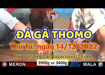 cuasat thang12-2022 (14)