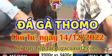 cuasat thang12-2022 (14)