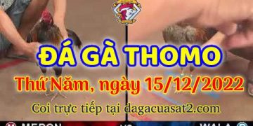 cuasat thang12-2022 (15)