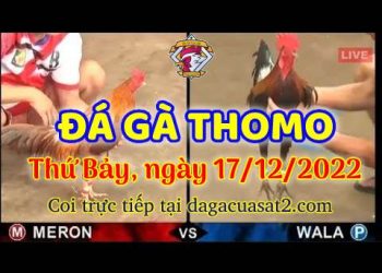 cuasat thang12-2022 (17)