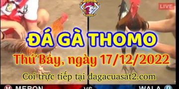 cuasat thang12-2022 (17)