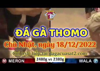 cuasat thang12-2022 (18)