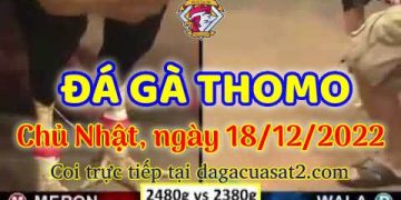 cuasat thang12-2022 (18)