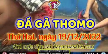 cuasat thang12-2022 (19)