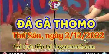 cuasat thang12-2022 (2)