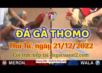 cuasat thang12-2022 (21)