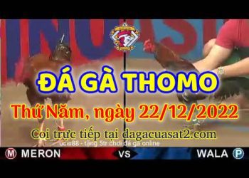 cuasat thang12-2022 (22)