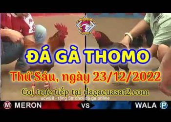 cuasat thang12-2022 (23)