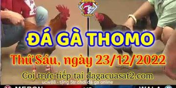 cuasat thang12-2022 (23)