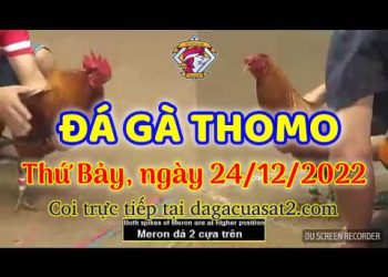 cuasat thang12-2022 (24)