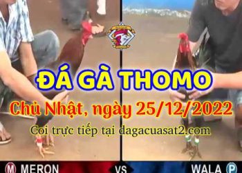 cuasat thang12-2022 (25)