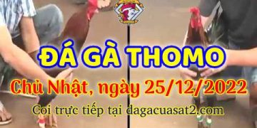 cuasat thang12-2022 (25)