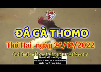 cuasat thang12-2022 (26)