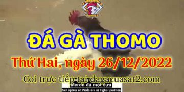 cuasat thang12-2022 (26)