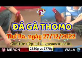 cuasat thang12-2022 (27)