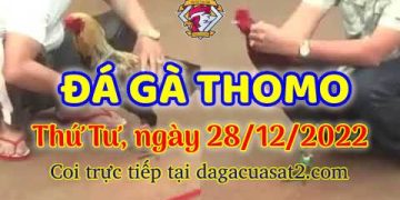 cuasat thang12-2022 (28)