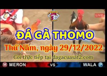 cuasat thang12-2022 (29)