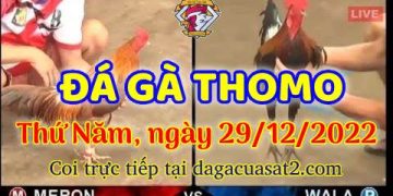 cuasat thang12-2022 (29)