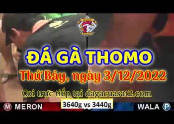 cuasat thang12-2022 (3)