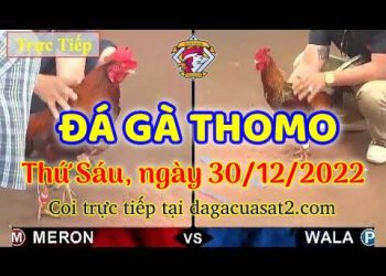 cuasat thang12-2022 (30)