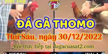 cuasat thang12-2022 (30)