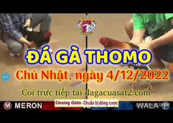 cuasat thang12-2022 (4)