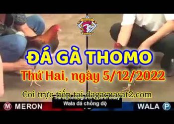 cuasat thang12-2022 (5)