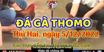 cuasat thang12-2022 (5)