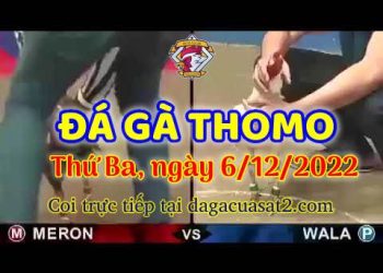 cuasat thang12-2022 (6)