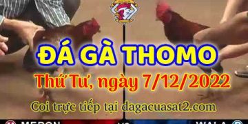 cuasat thang12-2022 (7)