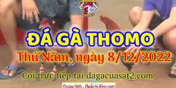 cuasat thang12-2022 (8)