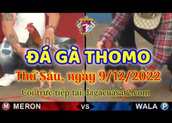 cuasat thang12-2022 (9)