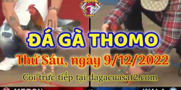 cuasat thang12-2022 (9)