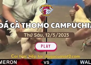 da-ga-cua-sat- 12-5-2023