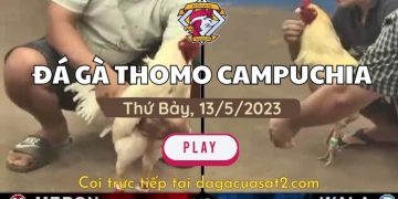 da-ga-cua-sat- 13-5-2023