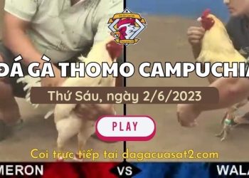 da-ga-cua-sat-2-6-2023