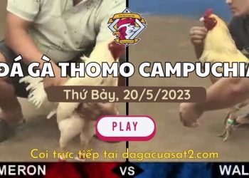 da-ga-cua-sat- 20-5-2023