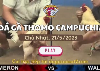 da-ga-cua-sat-21-5-2023