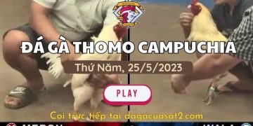 da-ga-cua-sat-25-5-2023