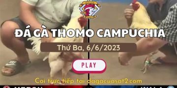 da-ga-cua-sat-6-6-2023