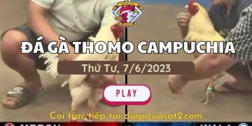 da-ga-cua-sat-7-6-2023