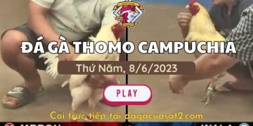 da-ga-cua-sat-8-6-2023