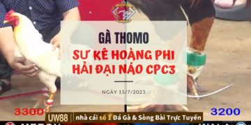 su ke hoang phi hai 15 7
