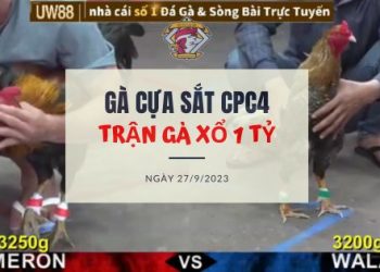 tran ga 1 ty 27 9