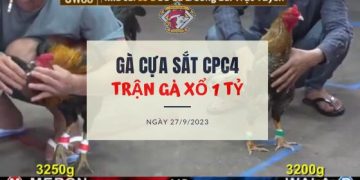 tran ga 1 ty 27 9