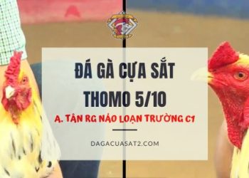 tan rach gia ngay 5 10 2023