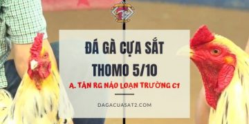 tan rach gia ngay 5 10 2023