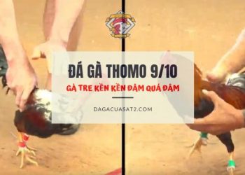 thomo-9-10 ga tre ken ken