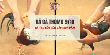 thomo-9-10 ga tre ken ken