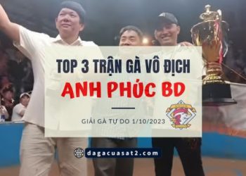 tran ga vo dich phuc binh duong 1-10